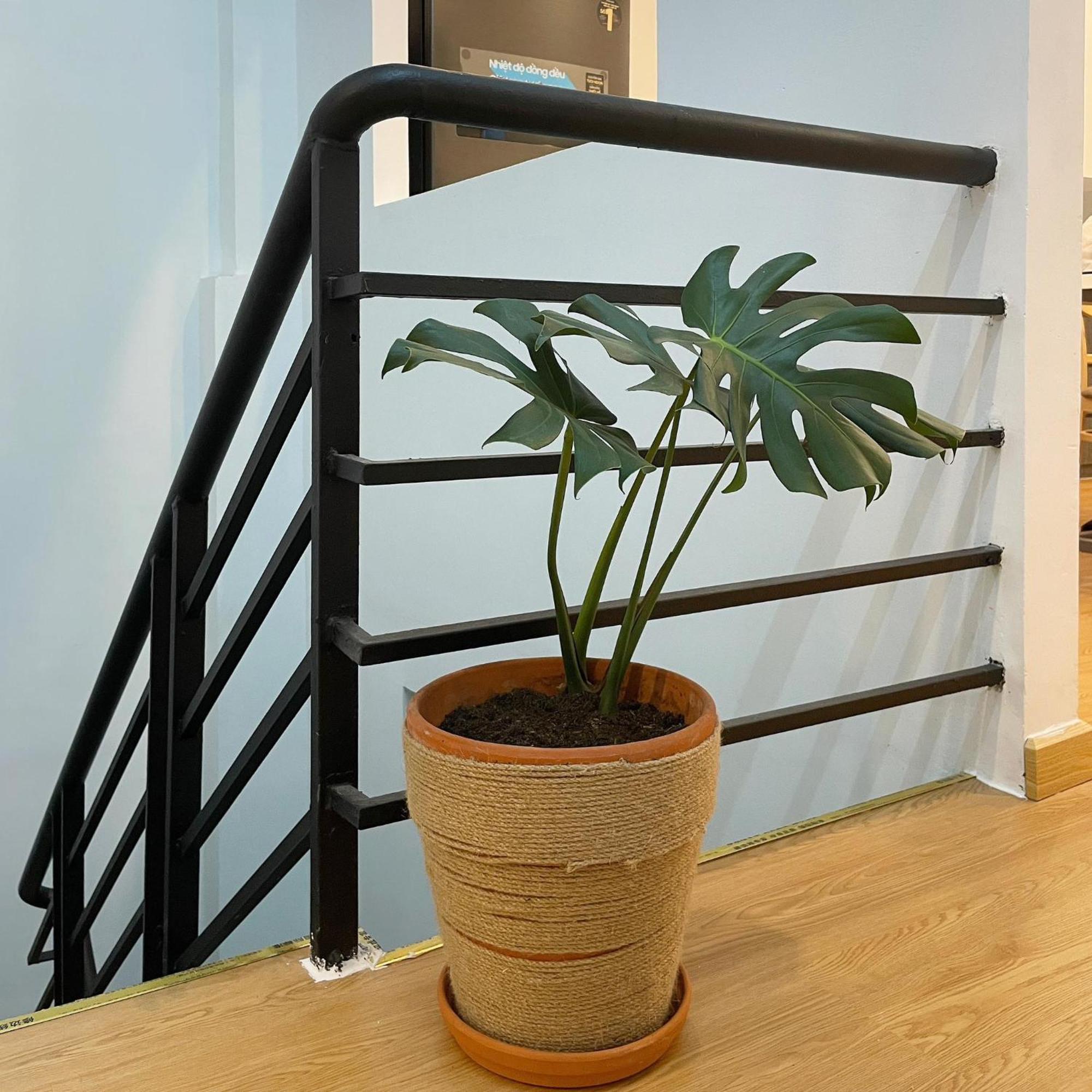Alphabet Home Capsule Ho Chi Minh-byen Eksteriør bilde